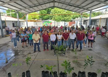 Conmemoran Día Mundial del Medio Ambiente con jornadas de reforestación