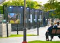 Invita Turismo a vivir “Alas en Libertad” en Tampico
