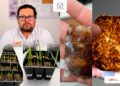 Patenta la UAT bioplásticos que recuperan suelos erosionados