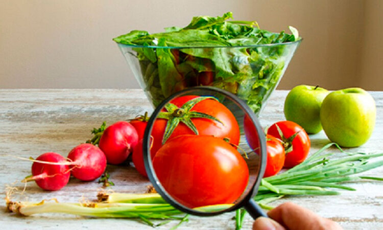 La Organización Mundial de la Salud reporta el impacto global de las enfermedades transmitidas por alimentos