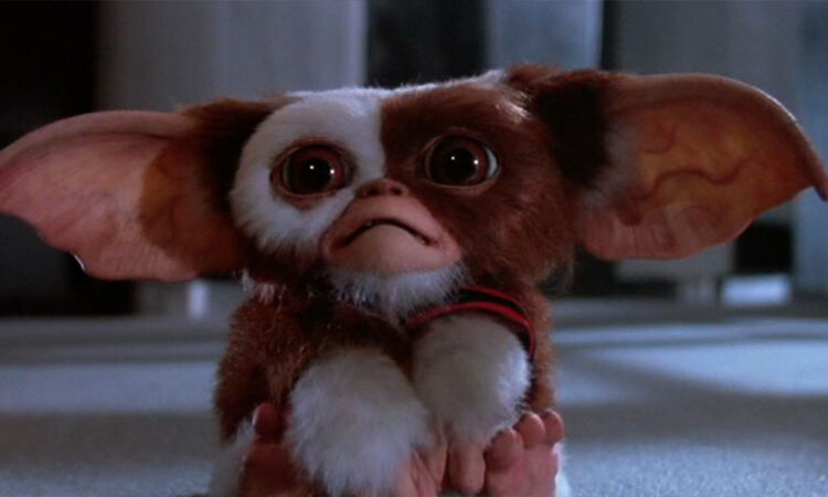 Gremlins: 42 años de icónicas criaturas en el cine