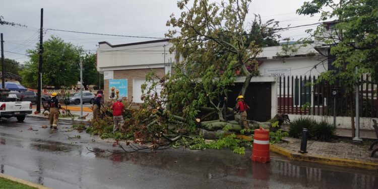 Lluvias desquician Victoria