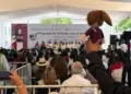 Plan de vivienda aporta 1% al PIB mexicano