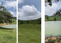 Fortalecen proyecto ecoturístico en Puerto Paraíso