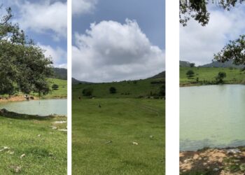 Fortalecen proyecto ecoturístico en Puerto Paraíso