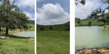 Fortalecen proyecto ecoturístico en Puerto Paraíso