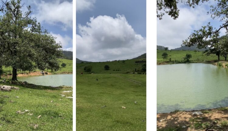 Fortalecen proyecto ecoturístico en Puerto Paraíso