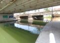 Persiste pesca furtiva en La Cortadura