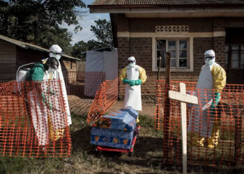 Ébola en África: OMS baja la alerta continental pero mantiene riesgo máximo en el Congo