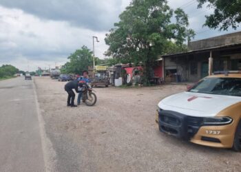 Suman 530 detenidos en operativos de seguridad