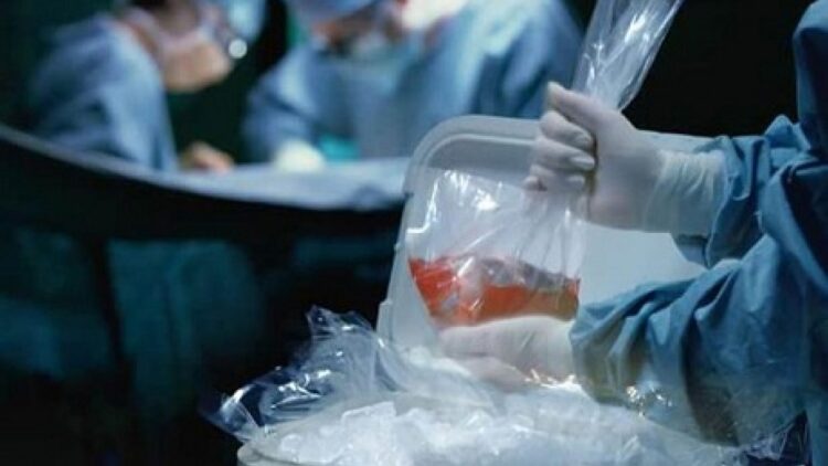 Tamaulipas suma 21 donaciones de órganos