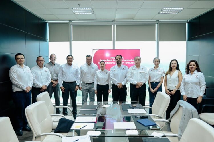 Capacitan a docentes para industria de semiconductores