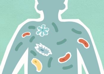 Bacterias intestinales en bebés: pistas sobre autismo y TDAH