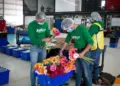 Migrantes encuentran empleo en sectores clave