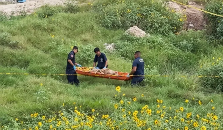 Identifican a mujer hallada en canal
