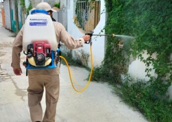 Preparan estrategia regional contra dengue