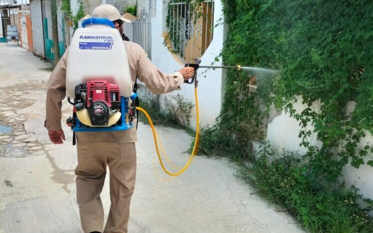 Preparan estrategia regional contra dengue