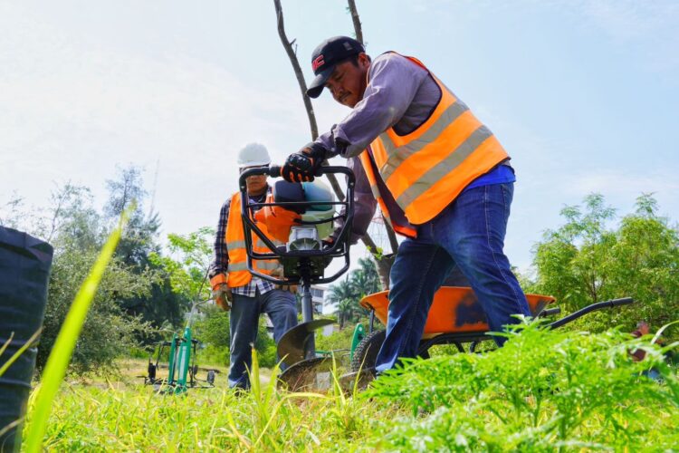 Plantan 300 árboles en Parque La Loma