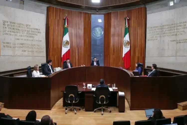 TEPJF mantiene afiliaciones de nuevos partidos