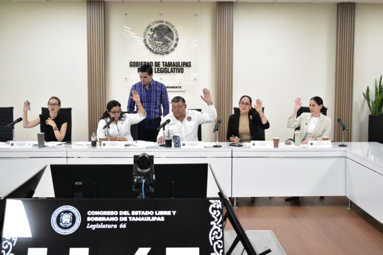 Diputada Francisca Castro propone fortalecer la transparencia financiera de los municipios