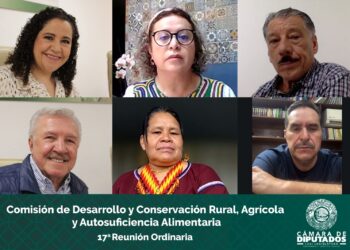 Aprueban Diputados reformas que fortalecen igualdad sustantiva en los derechos agrarios de mujeres