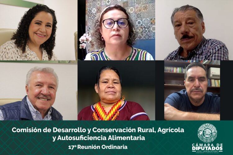 Aprueban Diputados reformas que fortalecen igualdad sustantiva en los derechos agrarios de mujeres