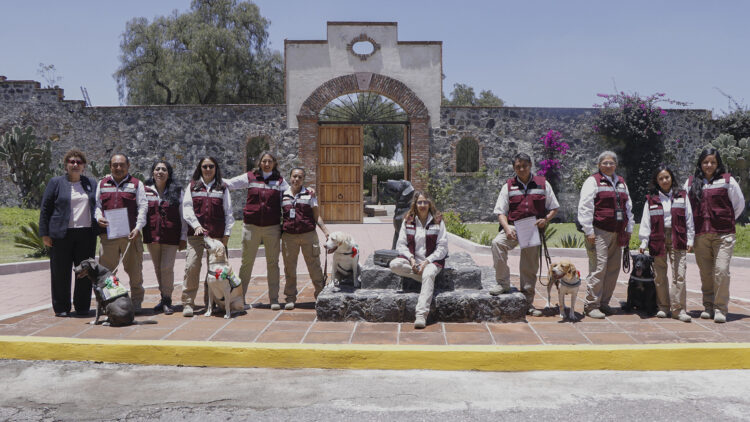 Capacita SADER a 82 Binomios Caninos para proteger el patrimonio agroalimentario de México