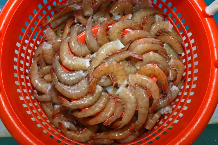 En agosto comienza la veda de abulón, langostino, pulpo y tiburones; termina para robalo y camarón