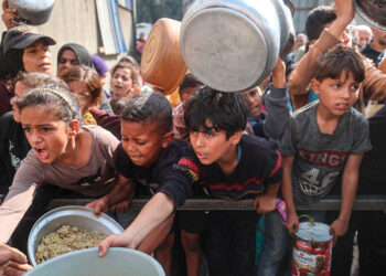 ONU alerta: 645 millones de personas padecen hambre