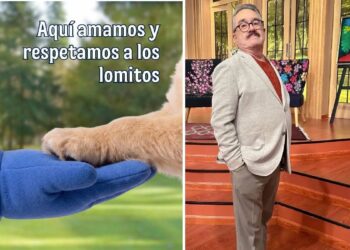 Hellmann's rechaza comentarios de Pedro Sola sobre perros