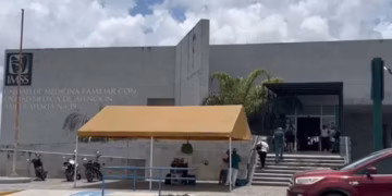 Plagas se “adueñan” del IMSS Matamoros
