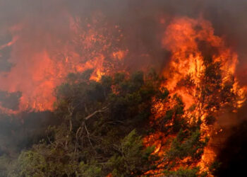 Europa en alerta por incendios en España y Francia