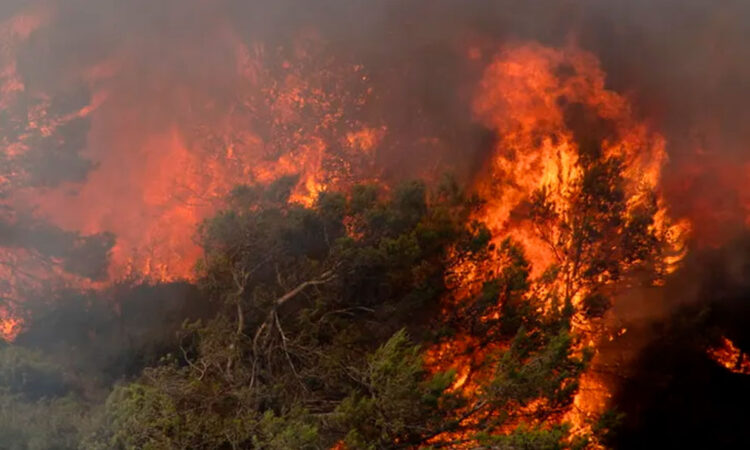 Europa en alerta por incendios en España y Francia