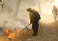 Más de 90 incendios activos consumen miles de hectáreas en EE. UU.