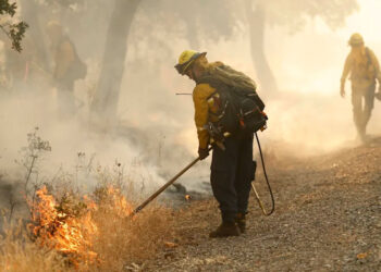 Más de 90 incendios activos consumen miles de hectáreas en EE. UU.