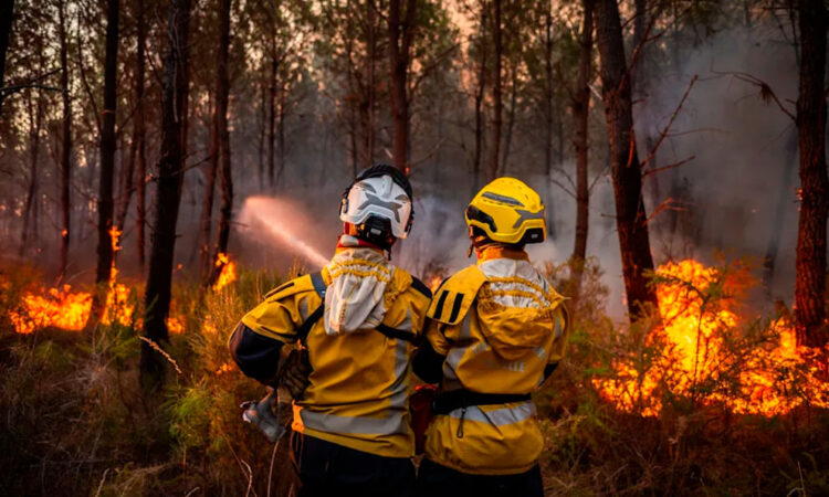Francia enfrenta millonarias pérdidas por devastador incendio