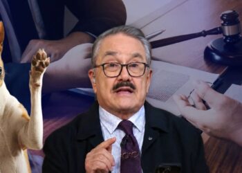 Denuncia contra Pedro Sola y Pati Chapoy por maltrato animal