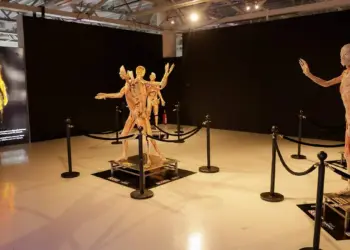 “Bodies The Exhibition” llegará a Tampico
