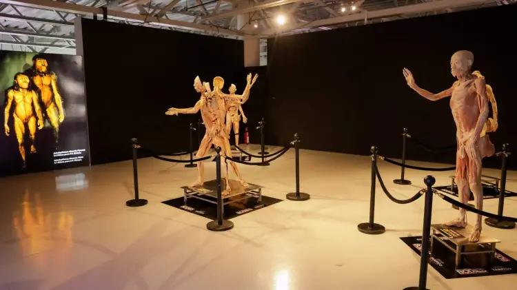 “Bodies The Exhibition” llegará a Tampico