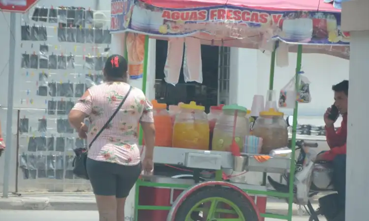 Canícula eleva riesgo por calor extremo