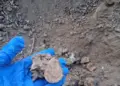 Colectivo halla otra fosa clandestina en Reynosa