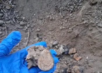 Colectivo halla otra fosa clandestina en Reynosa