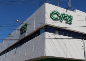 Tampico sancionará a CFE por tala de árboles