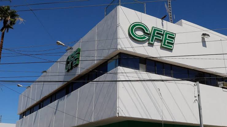 Tampico sancionará a CFE por tala de árboles