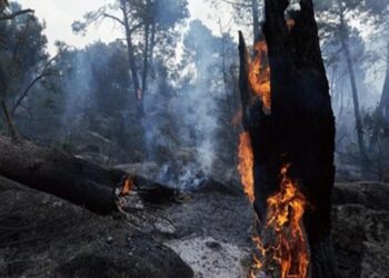 Incendio de Ávila ya es el más grande en la historia de España