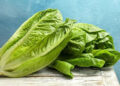 EU retira lechuga iceberg de México por riesgo sanitario