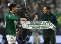 Palmeiras suma tres puntos y lidera el Campeonato Brasileño