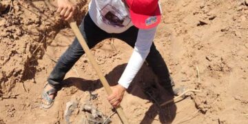Hallan siete osamentas en fosas clandestinas