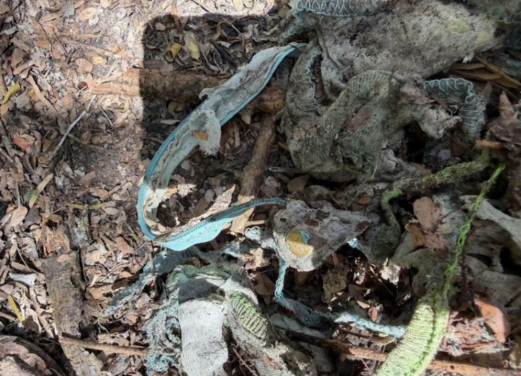 Ubican ocho posibles puntos de inhumación clandestina