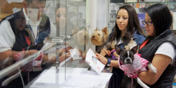 Establece México requisito de inspección sanitaria para GBG en perros y aves provenientes de EUA